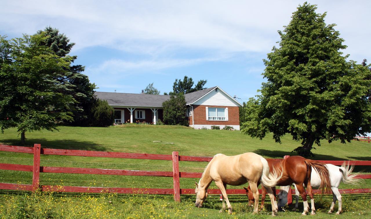 Bed and Breakfast Ranch St-Hubert à Saint-Hermenegilde Extérieur photo